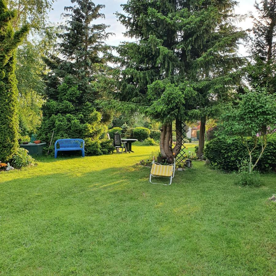 Finnhaus Neubauer Elbingerode  Dış mekan fotoğraf