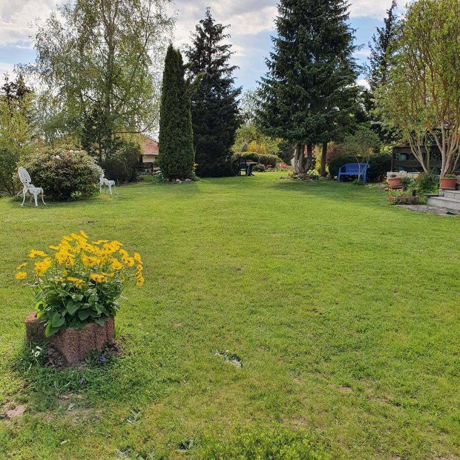 Finnhaus Neubauer Elbingerode  Dış mekan fotoğraf
