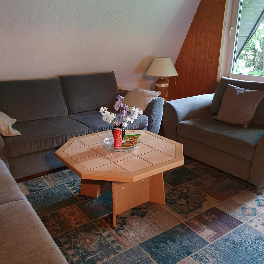 Finnhaus Neubauer Elbingerode  Dış mekan fotoğraf
