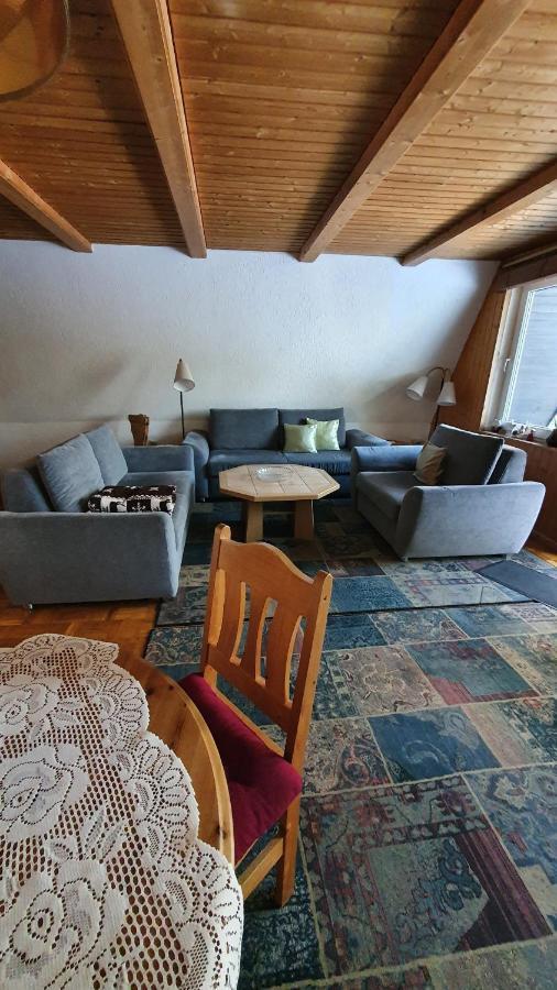 Finnhaus Neubauer Elbingerode  Dış mekan fotoğraf